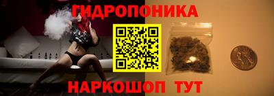 мяу мяу мука Новодвинск