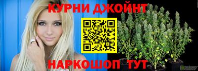 мяу мяу мука Новодвинск