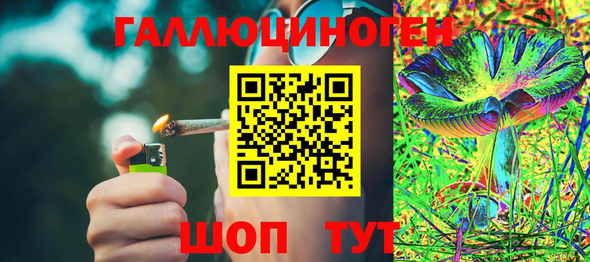 Псилоцибиновые грибы Cubensis Пугачёв
